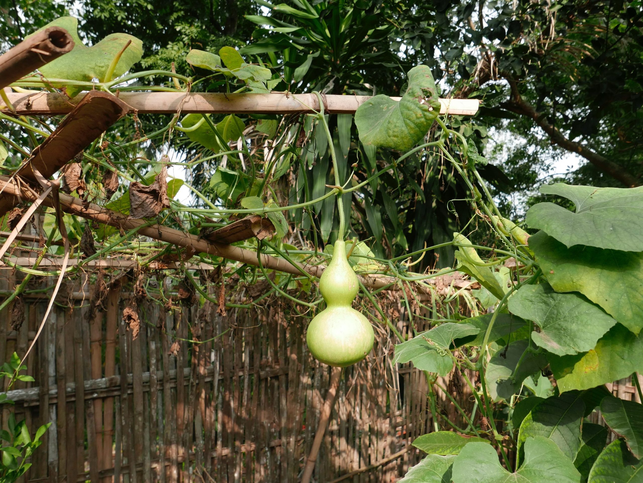 Kegiatan Utama Masyarakat