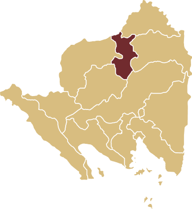 Kabupaten Tulang Bawang Barat (Tubaba)